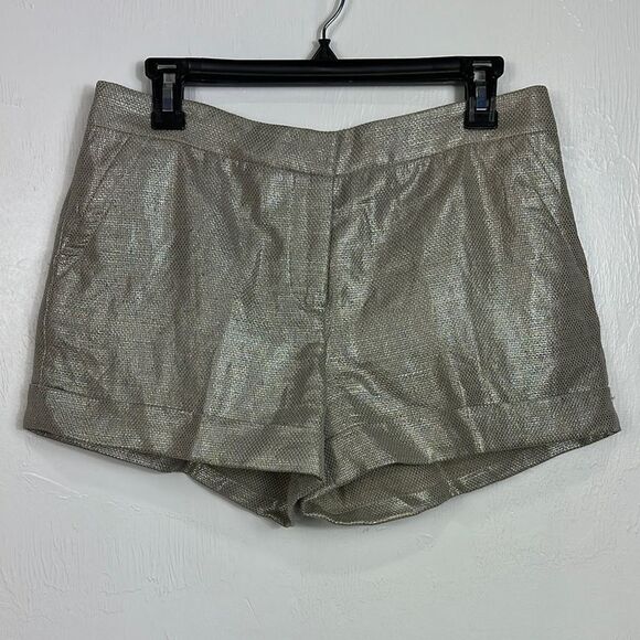 Mint Linen Cotton Silver Shimmer Mid Rise Shorts With Pockets Size 6 - Picture 1 of 10